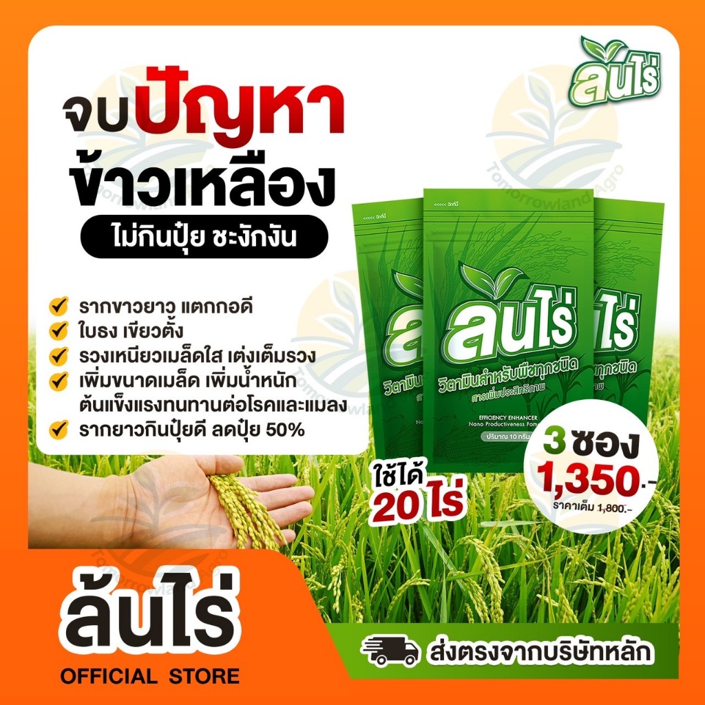 ส่งฟรี ล้นไร่ สูตรข้าวล้นนา สารเสริมประสิทธิภาพพืชทุกชนิด 10 กรัม 3 ซองใช้ได้ 60 ไร่ ผสมน้ำ 2400 ลิตร ของแท้ 100%