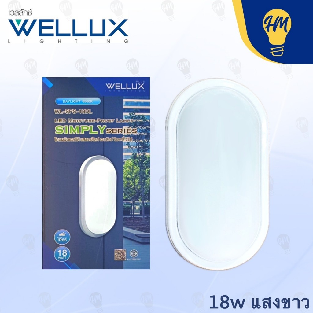 Wellux โคมไฟติดผนัง LED ทรงวงรี กรอบขาว 18W / 24W แสงขาว แสงวอร์ม (พร้อมหลอดไฟในตัว)