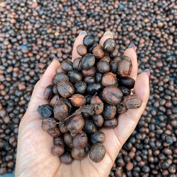 Anaerobic Process - Thai Arabica100%200g