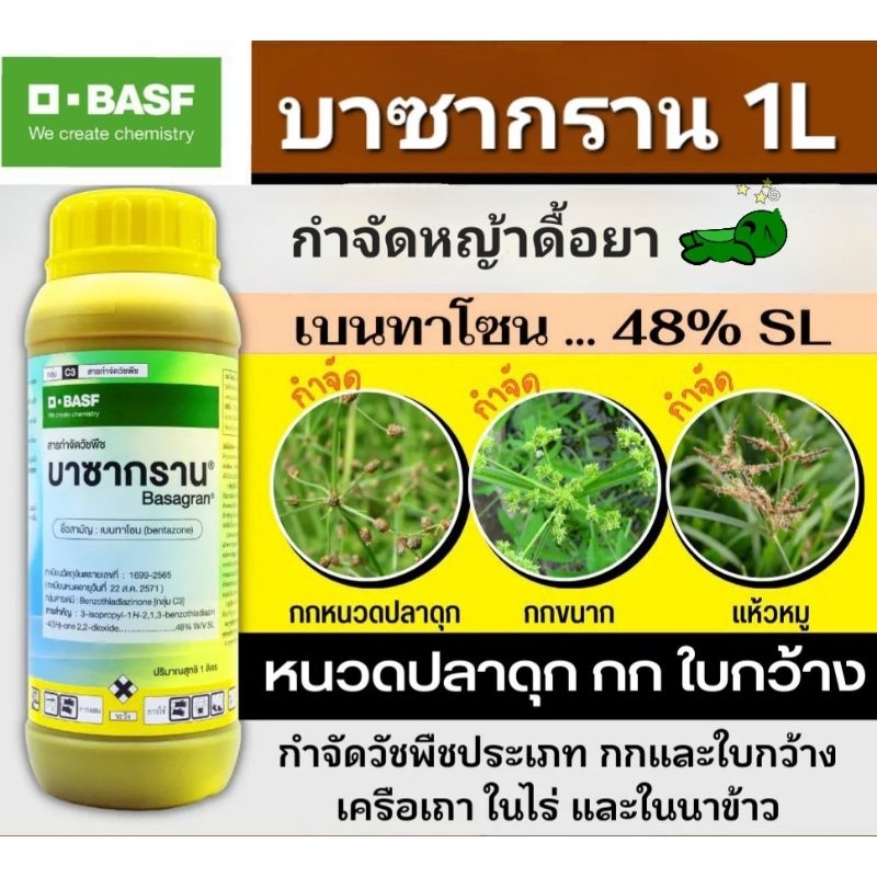 บาซากราน 1ลิตร(เบนทาโซน) กำจัดวัชพืชใบกว้างและกก เก่งกกหนวดปลาดุก