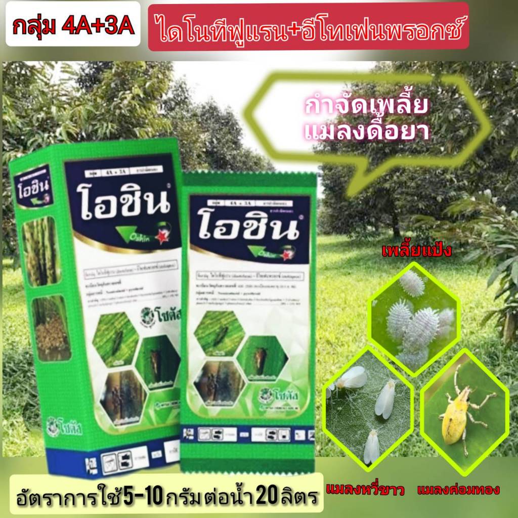โอชิน ไดโนทีฟูแรน+อีโทเฟนพรอกซ์(กลุ่ม4A+3A)2พลังบวกถูกตัวตายและกินตาย กำจัดเพลี้ยไก่แจ้ส้ม เพลี้ยไก่แจ้ทุเรียน เพลี้ยหอย