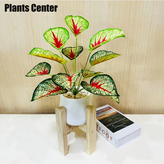 Plants Center P019 ต้นไม้ปลอม ต้นไม้มงคล ยกเซ็ทพร้อมกระถางเบลล่า ฟรีหินโรยสีขาว ต้นไม้ตกแต่งมินิมอล