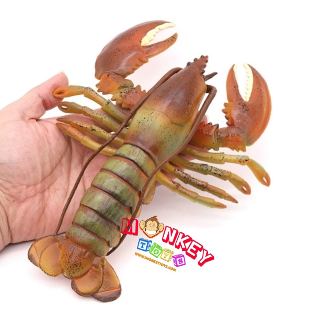 Monkey Toys - โมเดลสัตว์ กุ้ง มังกร บอสตัน เขียว ขนาด 23.00 CM (จากหาดใหญ่)