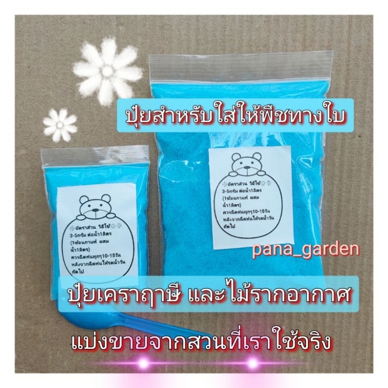 ปุ๋ยสำหรับใส่ทางใบ ปุ๋ยเคราฤาษี ปุ๋ยทิวแลนเซีย
