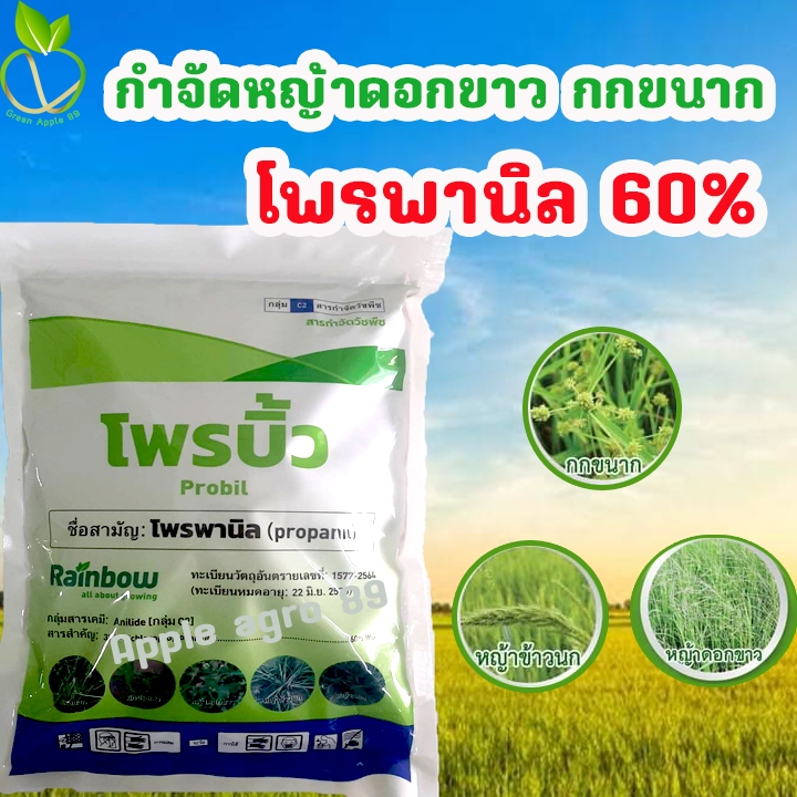 โพรบิ้ว โพรพานิล 60%WG ขนาด 1 กิโล กำจัดหญ้าในนา ยาหญ้าข้าวนก ยาหญ้าในนาข้าว กำจัดหญ้าดอกขาว กกขนาก โพพานิล โพพานิลยกลัง