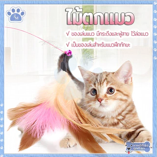 ไม้ตก ของเล่นแมวมีกระดิ่ง รุ่นปอมปอม สำหรับฝึกทักษะ ไม้ล่อแมว 66 ซม.