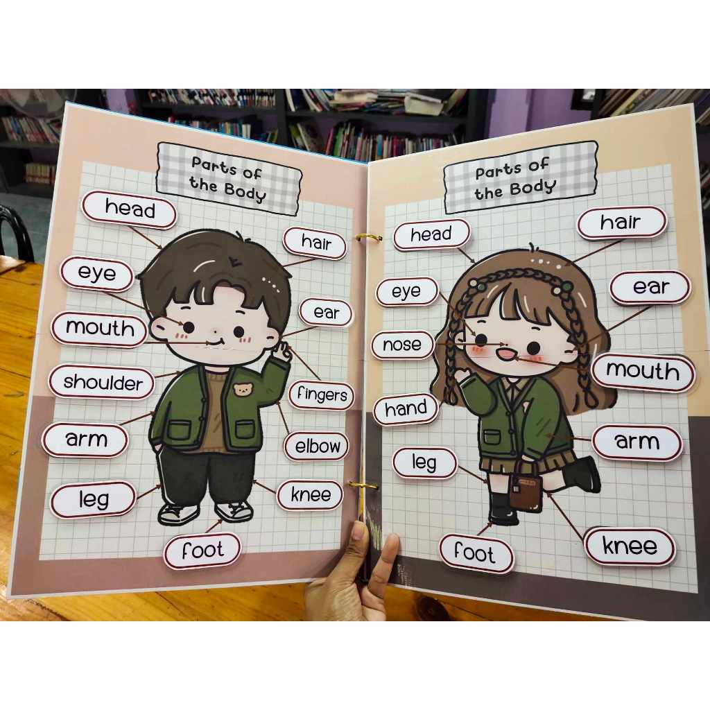 สื่อการสอนภาษาอังกฤษ เรื่อง parts of the body (ขนาด เอ3)