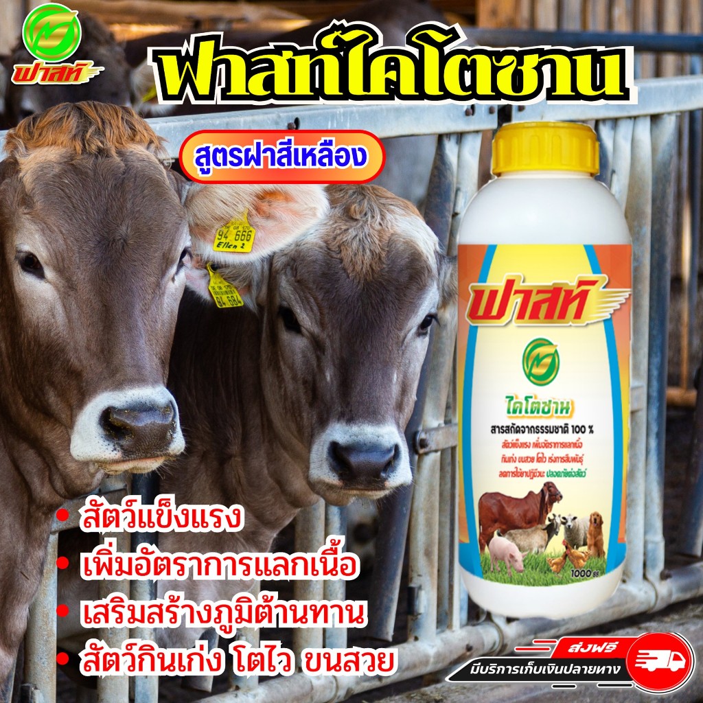 บำรุงระบบสืบพันธุ์ให้แข็งแรง สารสกัดธรรมชาติ100% ฟาสท์ไคโตซานฝาเหลือง1ขวด เสริมสร้างภูมิต้านทาน