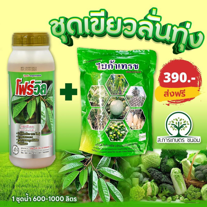 ชุดเขียวลั่นทุ่ง (โฟร์วิล+ไบก้าเทรช)