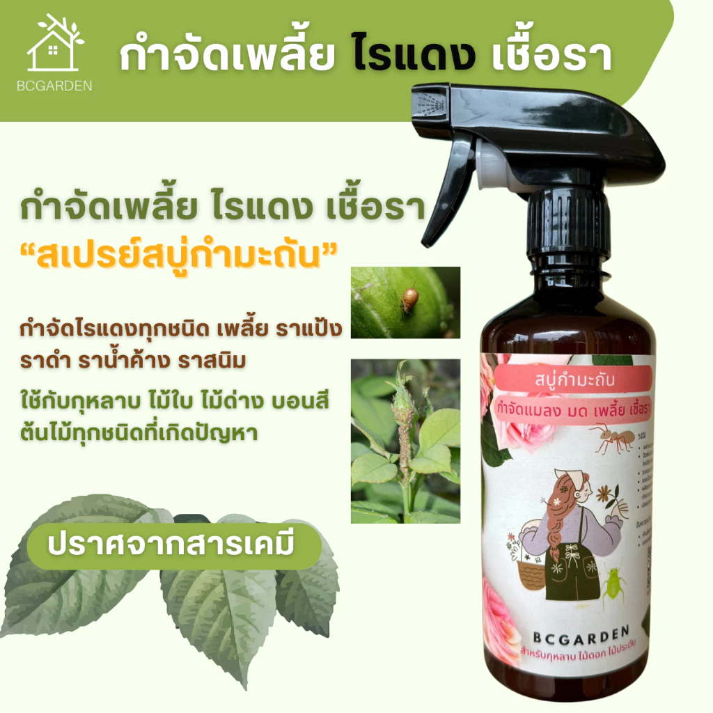 กำจัดเพลี้ย สบู่กำมะถัน เพลี้ย กำจัดศัตรูพืช เพลี้ยไฟ เพลี้ยแป้ง ไรแดง สำหรับไม้ใบ ไม้ดอก ผัก BCGarden