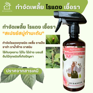 กำจัดเพลี้ย สบู่กำมะถัน เพลี้ย กำจัดศัตรูพืช เพลี้ยไฟ เพลี้ยแป้ง ไรแดง สำหรับไม้ใบ ไม้ดอก ผัก BCGarden