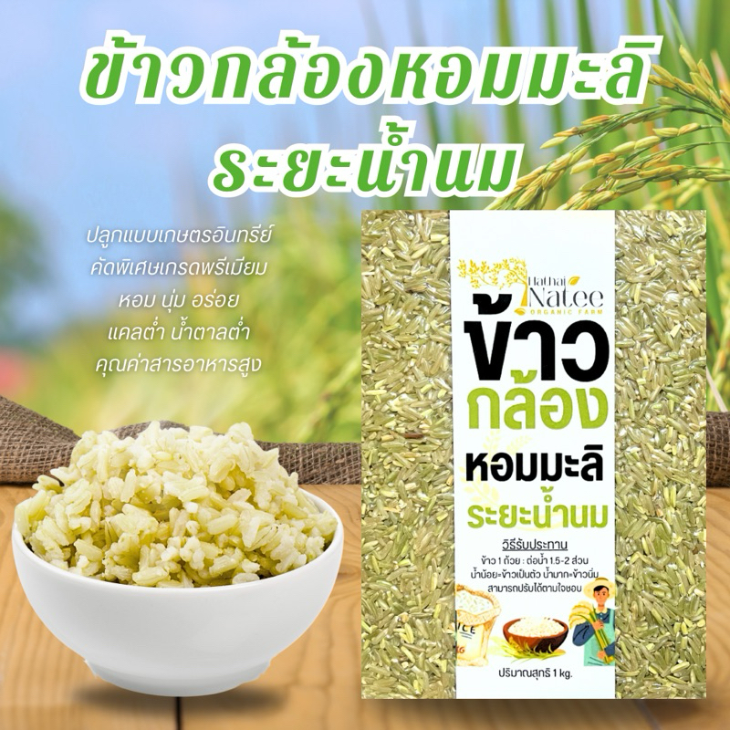 ข้าวกล้องหอมมะลิระยะน้ำนม 1 kg. (ซื้อ 3-5 โลคุ้มกว่า) ข้าวใหม่ ออร์แกนิค ปลอดสาร คัดเม็ดพิเศษ เกรดพรีเมี่ยม