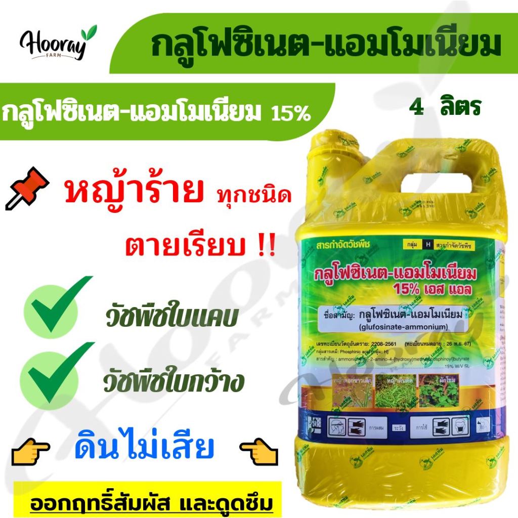 กลูโฟซิเนต แอมโมเนียม 15% 4 ลิตร (เอสทีม) กำจัดวัชพืช ฆ่าหญ้า หัวคันนา ร่องมัน ปรือ ธูป หญ้าปากควาย