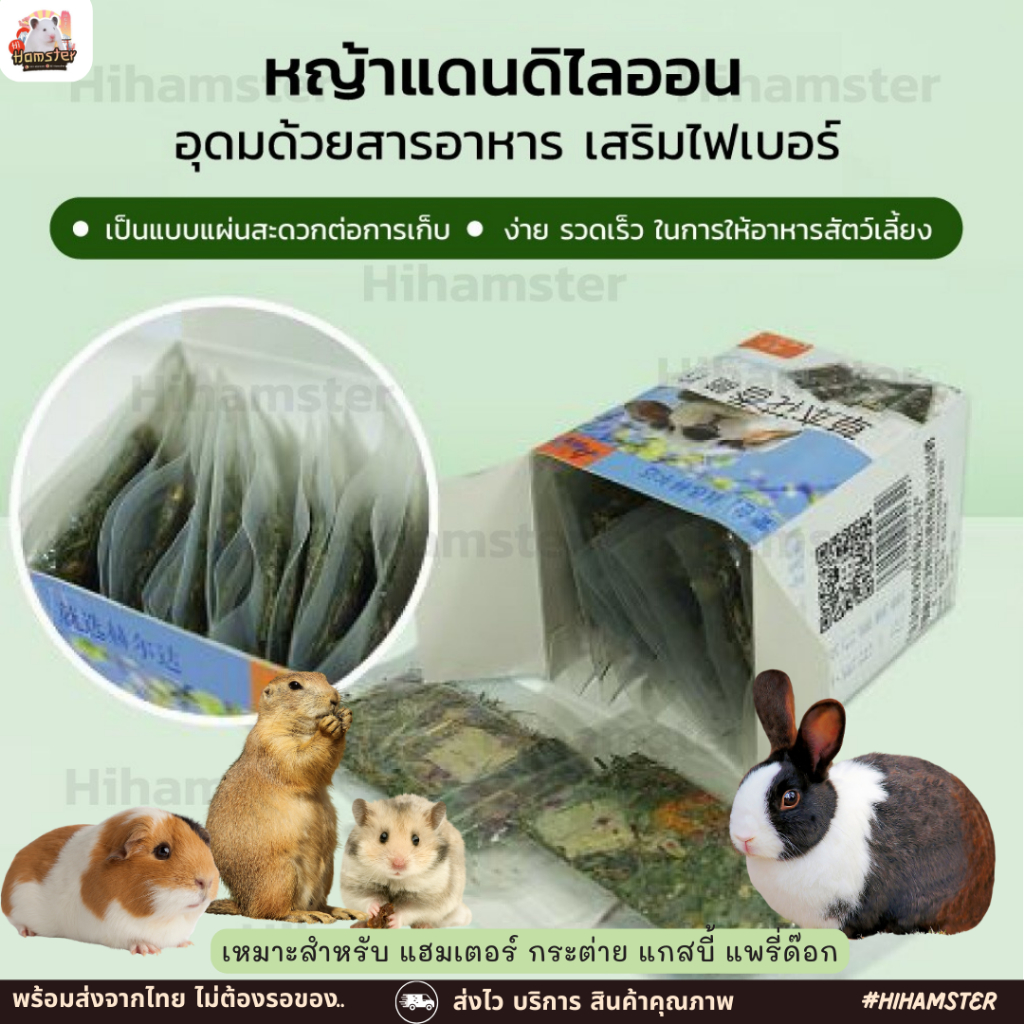 1. #อาหารกระต่าย
2. #อาหารชินชิล่า
3. #อาหารแฮมสเตอร์
4. #อาหารหนูตะเภา
5. #อาหารสัตว์เลี้ยง