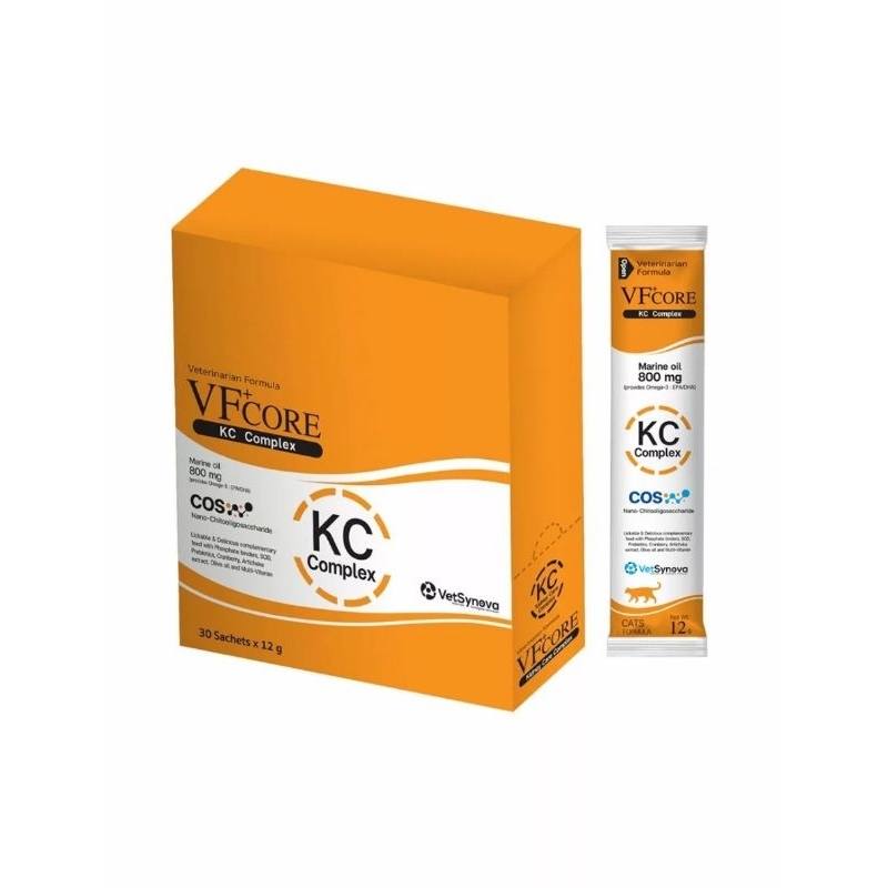 รูปภาพ 5