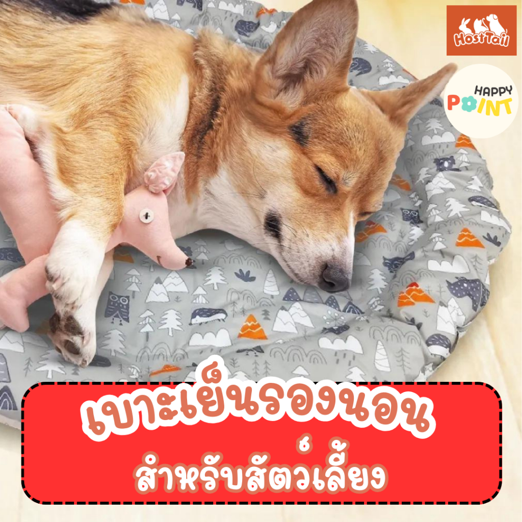 Hosttail เบาะเย็นรองนอนสำหรับสัตว์เลี้ยง