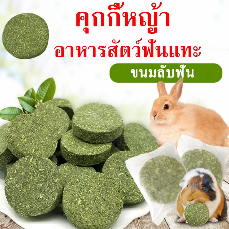 อาการกระต่าย คุกกี้หญ้า คุกกี้กระต่าย คุกกี้อัลฟาฟ่ สัตว์ฟันแทะ อัลฟาฟ่าอัดก้อน สำหรับกระต่าย แกสบี้ แพรี่ด็อก
