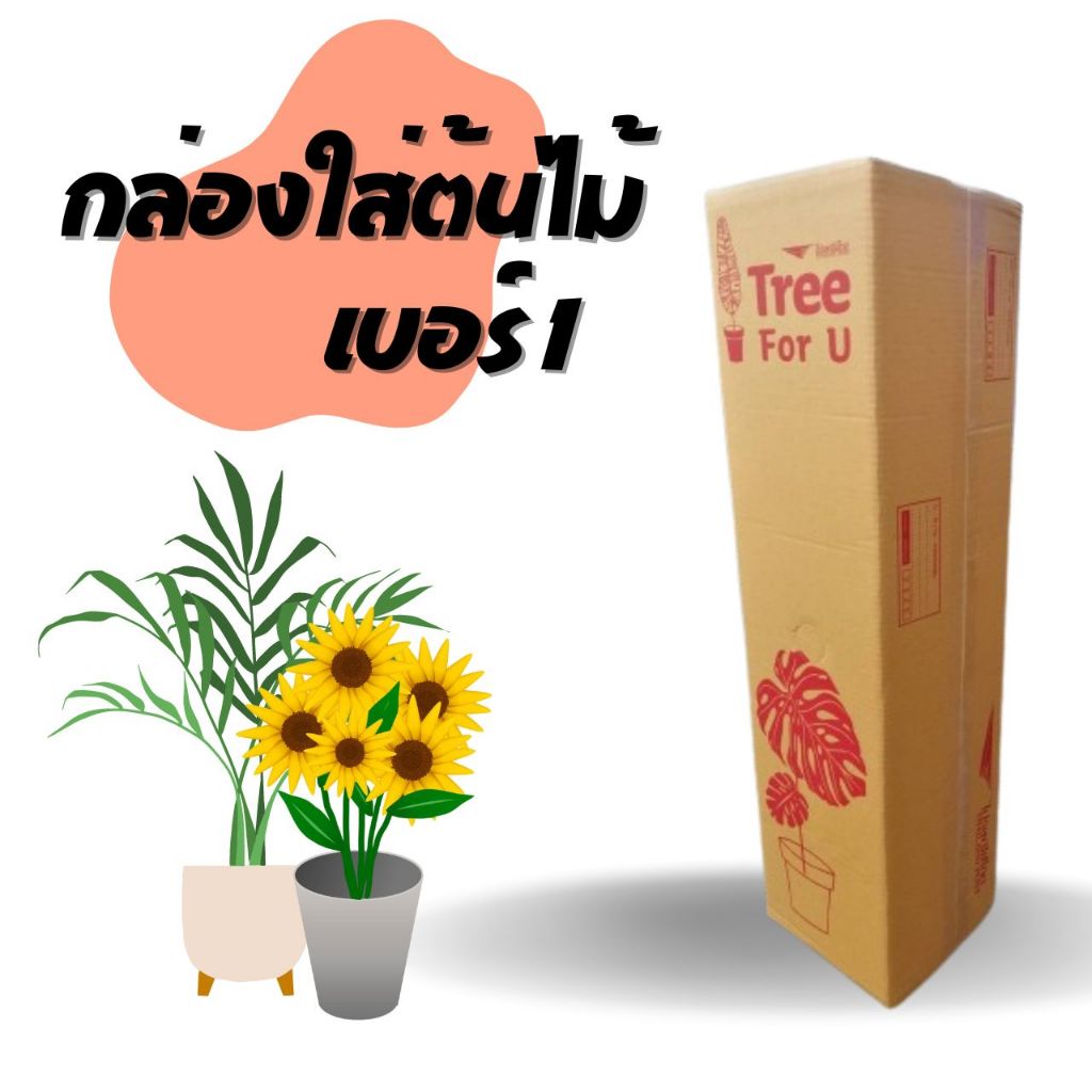 Q-Box กล่องต้นไม้ เบอร์ 1 ขนาดยาว ( 5 ใบ)