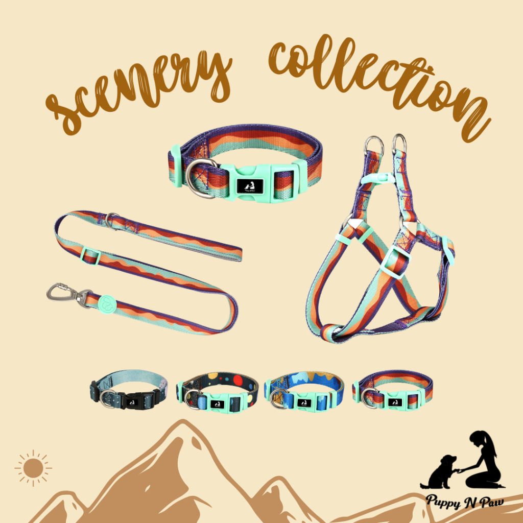 Puppy N Paw ปลอกคอ รัดอก สายจูง ปลอกคอสุนัข ปลอกคอแมว Collar Leash Harness for Dog and Cat - Scenery
