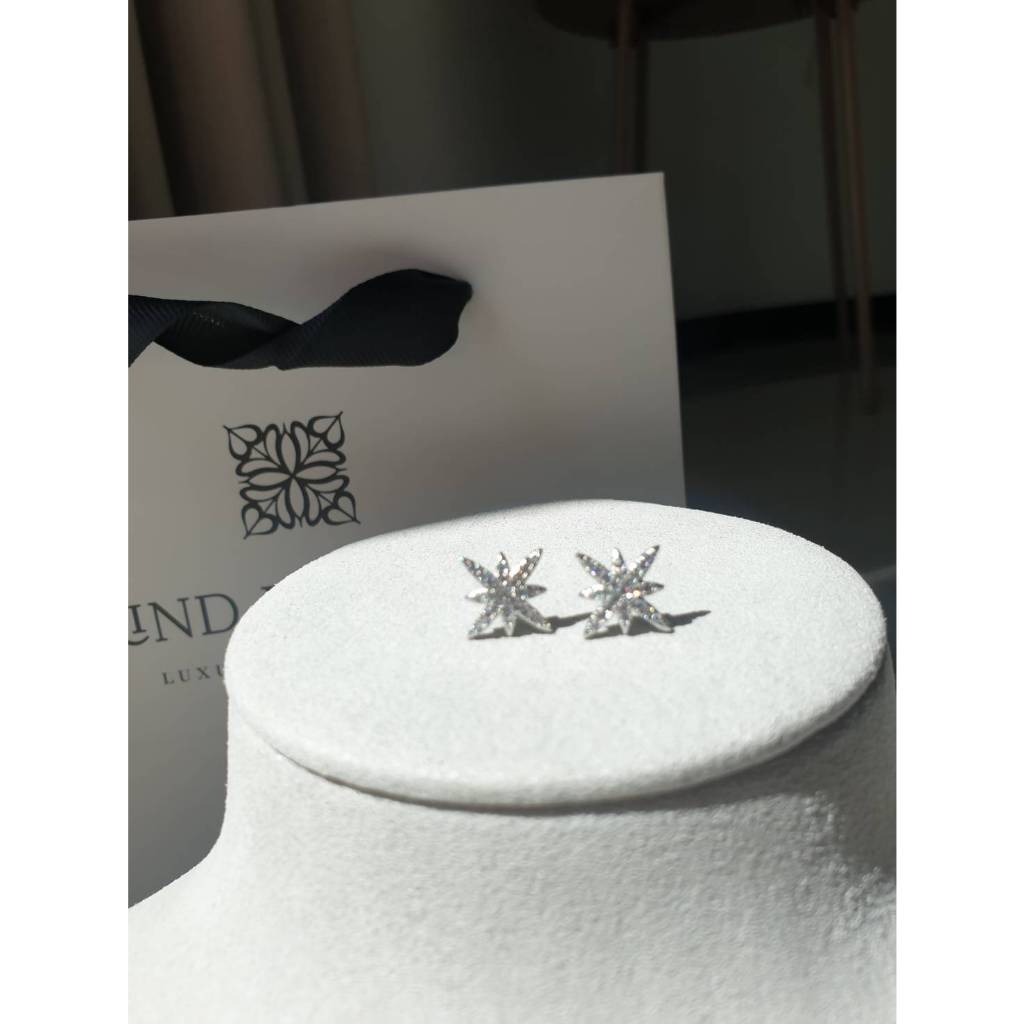 Kind Jewelry ต่างหู Shine