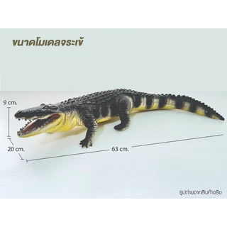 โมเดลจระเข้ตัวใหญ่ยางนิ่ม 63 ซม. โมเดลจระเข้ตัวใหญ่ยางนิ่ม 56 ซม.โมเดลสัตว์จำลองตัวใหญ่เสมือนจริง