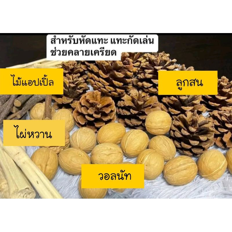 ของหัดแทะคลายเครียด วอลนัท,ลูกสน,ไม้แอปเปิ้ล,ไผ่หวาน