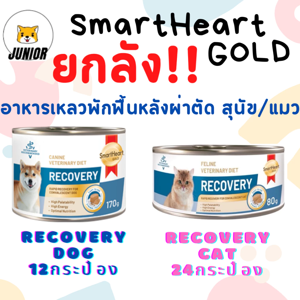 โปรดอ่านก่อนสั่ง ยกลัง! SmartHeart Gold: Recoveryอาหารประกอบการรักษาโรคสำหรับสุนัขและแมวป่วยหรือป่วยพักฟื้นหลังผ่าตัด
