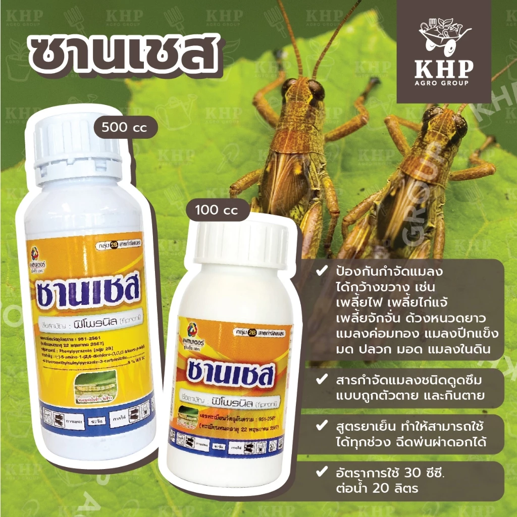 ซานเชส กำจัดปลวก มด หนอน เพลี้ย ด้วงอ้อย แมลงทุกชนิด สูตรเย็นฯลฯ ตามบ้านเรือน สวนไร่นา ไร้กลิ่น ไม่รัด ไม่กัดนวล