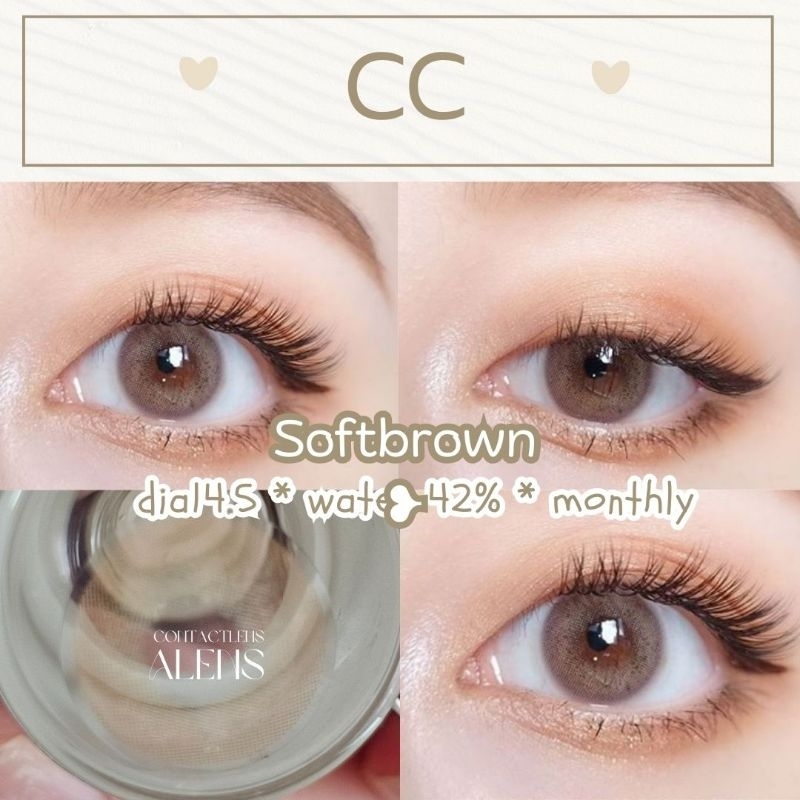 Ceencon brown/soft brown | เลนส์ไร้ขอบ รายเดือน