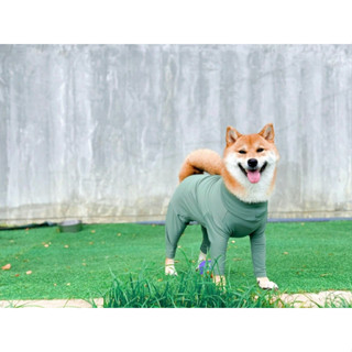 ชุดกันขนร่วง สีเขียวเอิร์ทโทน