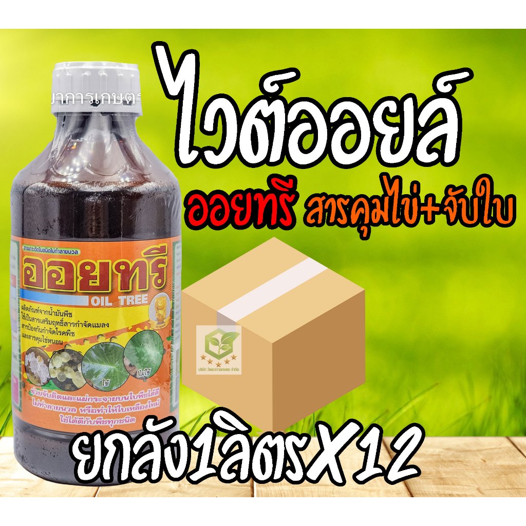 /ยกลัง12ขวด/ ออยทรี ขนาด 1ลิตร ฉีดยาคุมไข่ หนอน เพลี้ยไฟ เพลี้ยกระโดด ไรแดง ไวต์ออยล์ จับใบ เคลือบใบ ไวออย