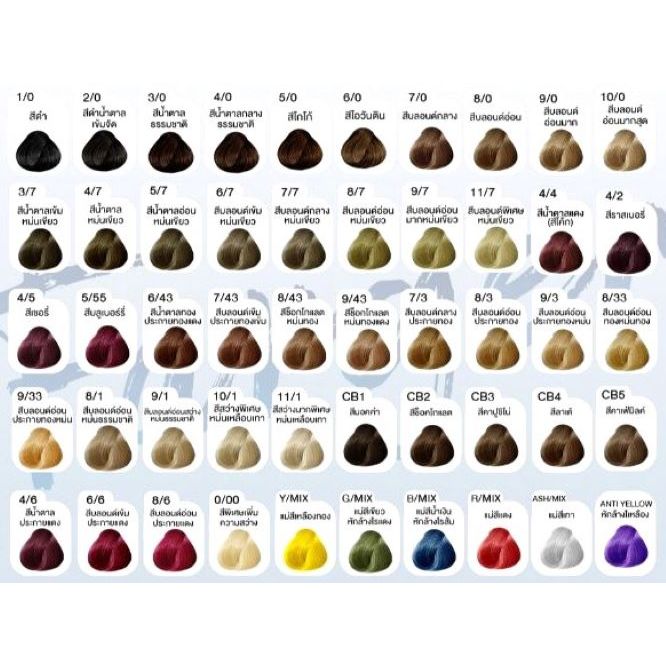 ฟาร์เกอร์ ครีมเปลี่ยนสีผม เอช ซี อี เพอร์มาเน้นท์ แฮร์ คัลเลอร์ครีม 100 มล  (ราคาตัดฝา)