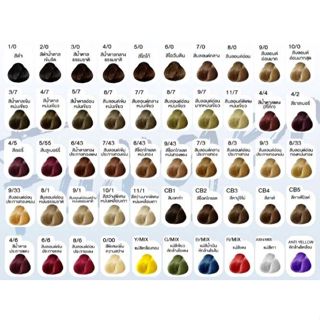 ฟาร์เกอร์ ครีมเปลี่ยนสีผม เอช ซี อี เพอร์มาเน้นท์ แฮร์ คัลเล…