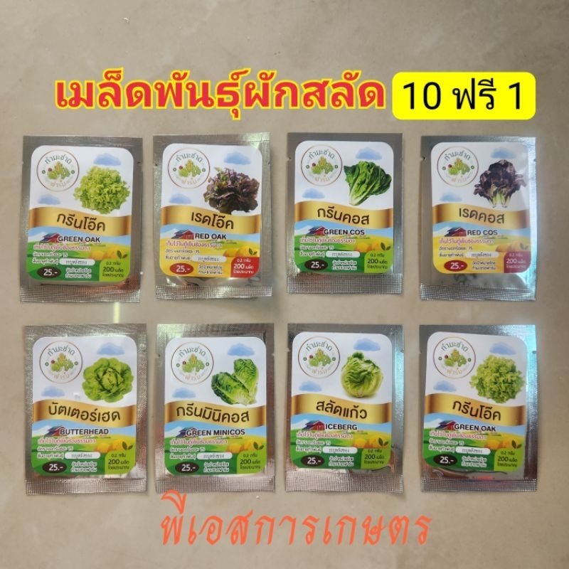 เมล็ดพันธุ์ผักสลัดประมาณ 200 เมล็ด ทำมะชาดฟาร์ม การันตีอัตราการงอก ** 10ฟรี1**
