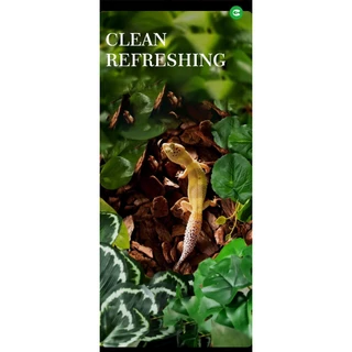 CLEAN EXOTIC PET ต้นไม้ปลอมแต่งตู้ สัตว์แปลก ตู้ปลา เอกโซติกเพท ต้นไม้ปลอม ต้นไม้ เต่า เบียส งู กิ้งก่า กบ ใบไม้ สัตว์