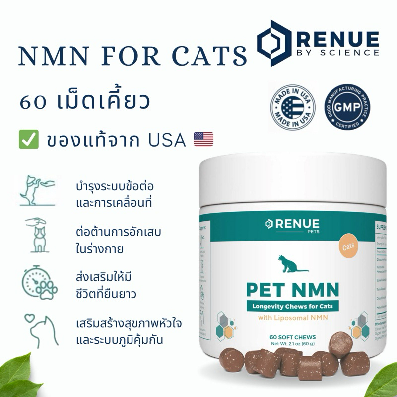 NMN For Cats (60 เม็ด) อาหารเสริมชะลอวัยสำหรับแมว เพื่อชีวิตที่ยืนยาวของน้องแมวที่คุณรัก