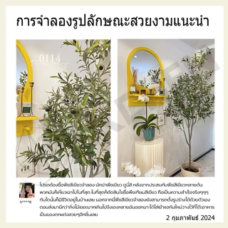 【สั่งแล้วฟรีกระถางดอกไม้ 】ต้นโอลีฟ ต้นมะกอกปลอม ของตกแต่งในร่ม ลำต้นสีน้ำตาลเหมือนของจริง ต้นไม้ปลอมใหญ่