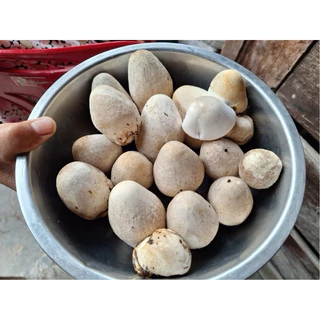 เชื้อเห็ดฟาง เห็ดฟาง 5 ก้อน+อาหารเสริมเห็ด 5 ถุง+แป้งข้าวเหนียว 5 ถุง