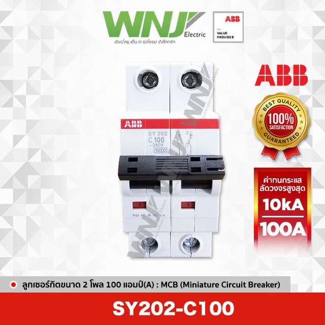 ABB SY202-C100 เซอร์กิตเบรกเกอร์ MCB 2 โพล 10kA ขนาด 100 แอมป์(A)