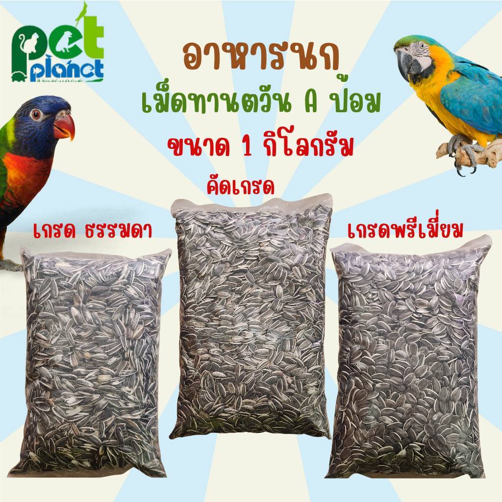 (1กิโลกรัม) ทานตะวัน อาหารนก ขนมนก อาหารนกแก้ว ขนมนกแก้ว เม็ดทานตะวัน A ป้อม เกรดพรีเมี่ยม คุณภาพดี ฝุ่นน้อย