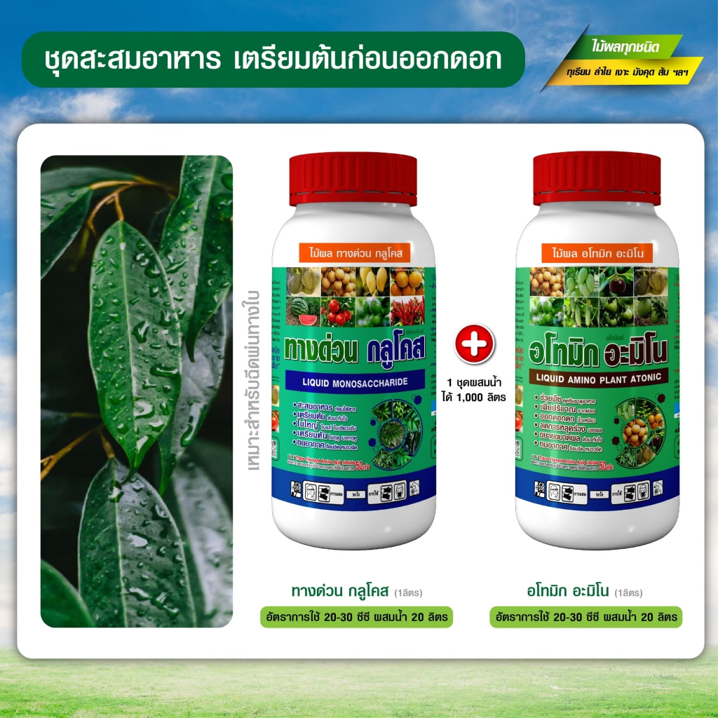 ชุดสะสมอาหารทุเรียน สะสมอาหาร เตรียมต้น เร่งใบแก่ ใบเขียวเข้ม ต้นสมบูรณ์ ก่อนสร้างตาดอก (ชุดขนาด 1+1 ลิตร)