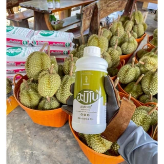 อะมิโนพลัส (อะมิโน+สาหร่าย) สูตรเข้มข้น เร่งการเติบโต เพิ่มผลผลิต