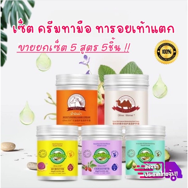 (ยกเซ็ต ราคาพิเศษ) ส่งไทย ! เซ็ตครีมทามือน้ำมันม้า ครีมบำรุงมือ ไม่แห้งกร้าน ชุ่มชื้น มีของพร้อมส่ง -- VC301 SET