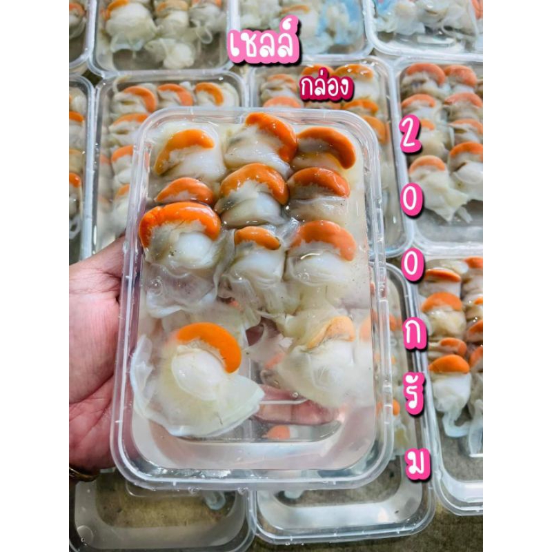 เนื้อหอยเชลล์กล่อง กล่องละ500กรัม เป็นเนื้อเชลล์ไซส์รวม
