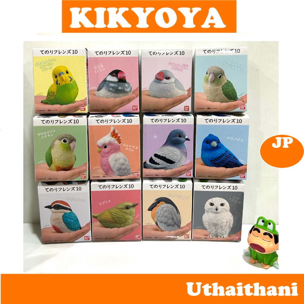 +-Tenori friends 10 โมเดลนก โมเดลสัตว์ นก สมจริง น่ารัก Model Figure bird