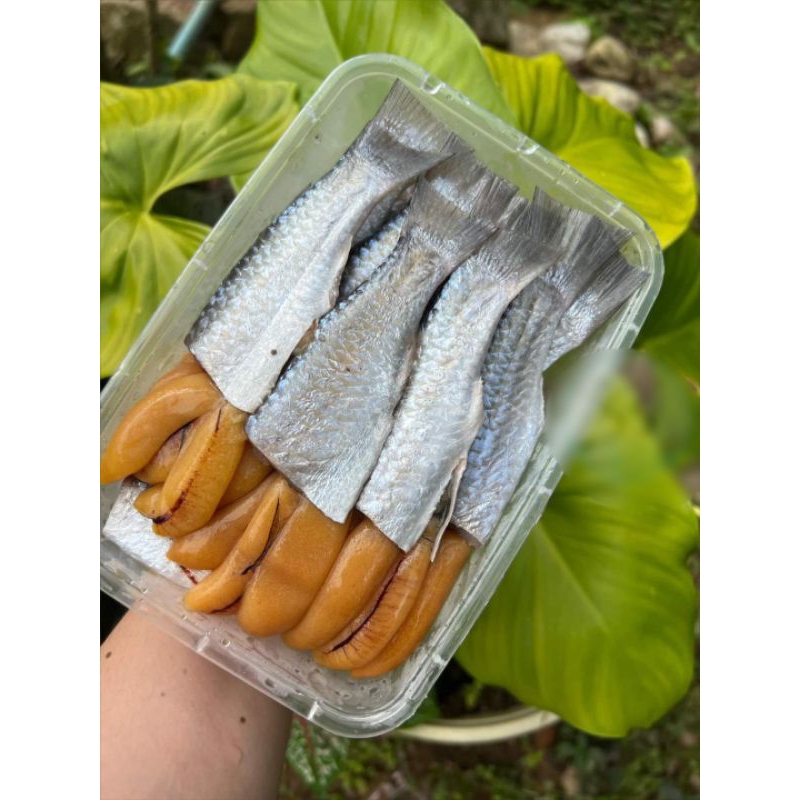 ปลากระบอกไข่ กล่องละ400กรัม ทำเสร็จพร้อมปรุงไข่สวยๆ เป็นปลาสดและนำไปแช่แข็ง