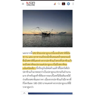 ปลาแห้ง ปลาลูกเบร่พัทลุง ปลาตัวเล็กตากแห้ง ปลาทะเลสาบน้ำจืดธรรมชาติ เเคลเซียมสูง
