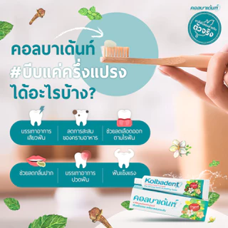 Kolbadent ยาสีฟันสมุนไพร คอลบาเด้นท์ 160 กรัม ลดเสียวฟัน ลดกลิ่นปาก เหงือกกระชับ ขจัดคราบหินปูน สินค้าจากบริษัท