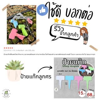 ป้ายแท๊ก ป้ายแทกต้นไม้ ป้ายชื่อต้นไม้ ทรงลูกศร สำหรับไม้ขนาดกลาง พลาสติก ขนาด 6x9.5cm แพ๊ค 20/100 ชิ้น