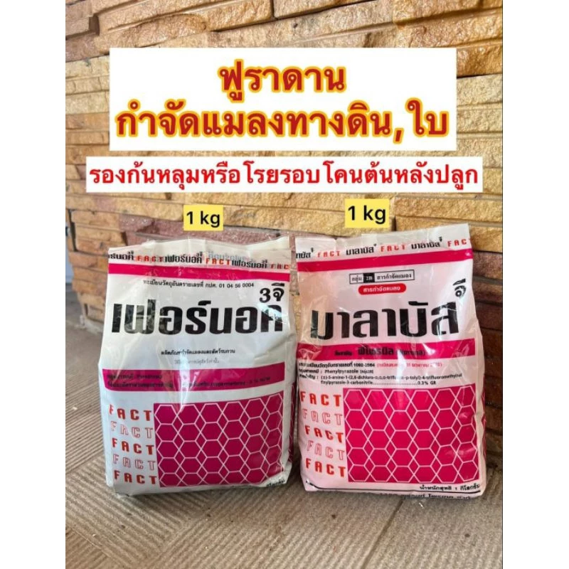 ฟูราดานกำจัดแมลงทางดินใบ
